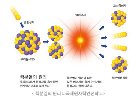열중성자 - 우라늄235 - 열에너지 고속중성자,핵분열생성물 핵분열의 원리 우라늄235가 중성자를 흡수하면서 원자핵이 2개로 쪼개진다. 핵분열이 일어날 때는 많은 에너지와 함께 2~3개의 중성자도 함께 나온다 핵분열의 원리 국제원자력안전학교